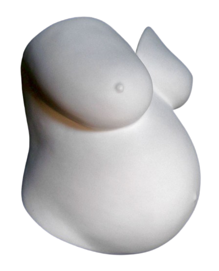 Calchi in gesso: calco del pancione